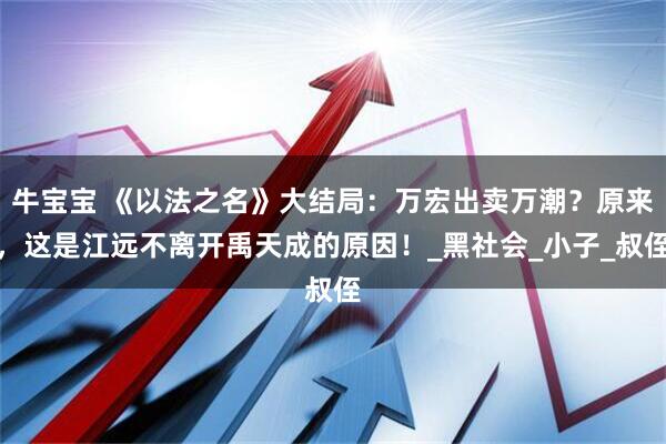 牛宝宝 《以法之名》大结局：万宏出卖万潮？原来，这是江远不离开禹天成的原因！_黑社会_小子_叔侄