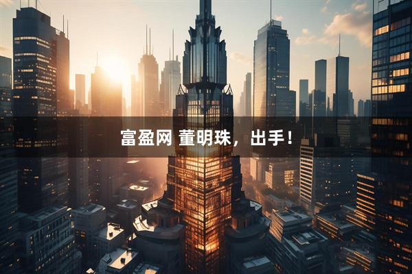 富盈网 董明珠，出手！