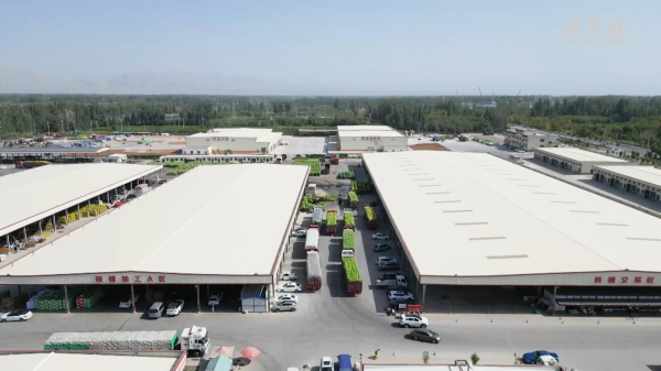 国融汇通 新疆新和县核桃丰收 俏销海外市场