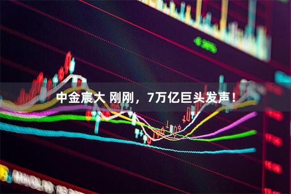 中金宸大 刚刚，7万亿巨头发声！